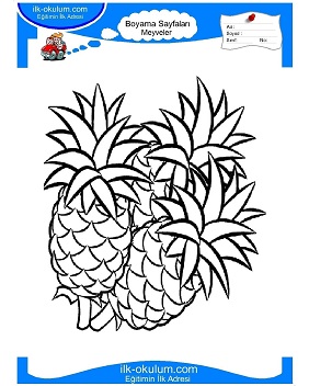Çocuklar İçin Ananas Boyama Sayfaları 